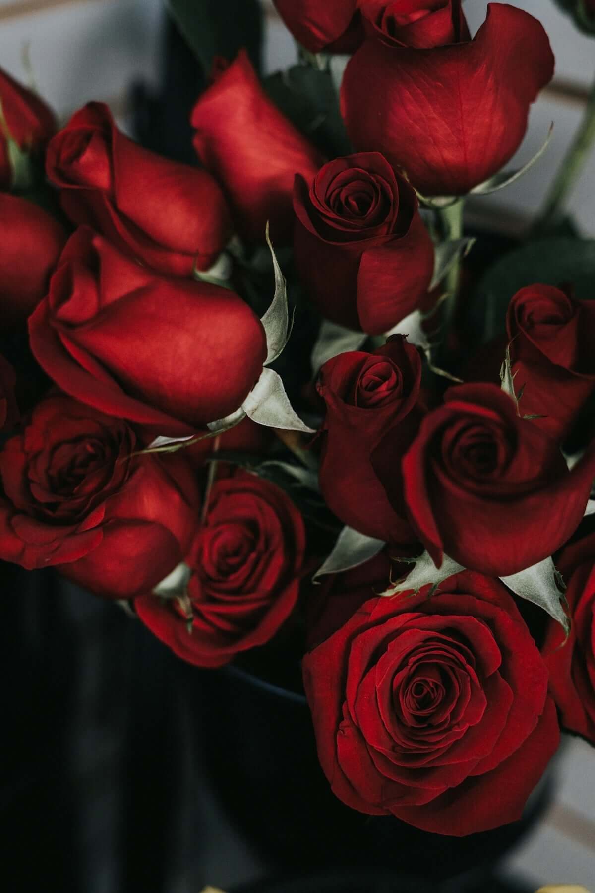 luxury scented soy candles with romantic red roses for an elegant ambiance