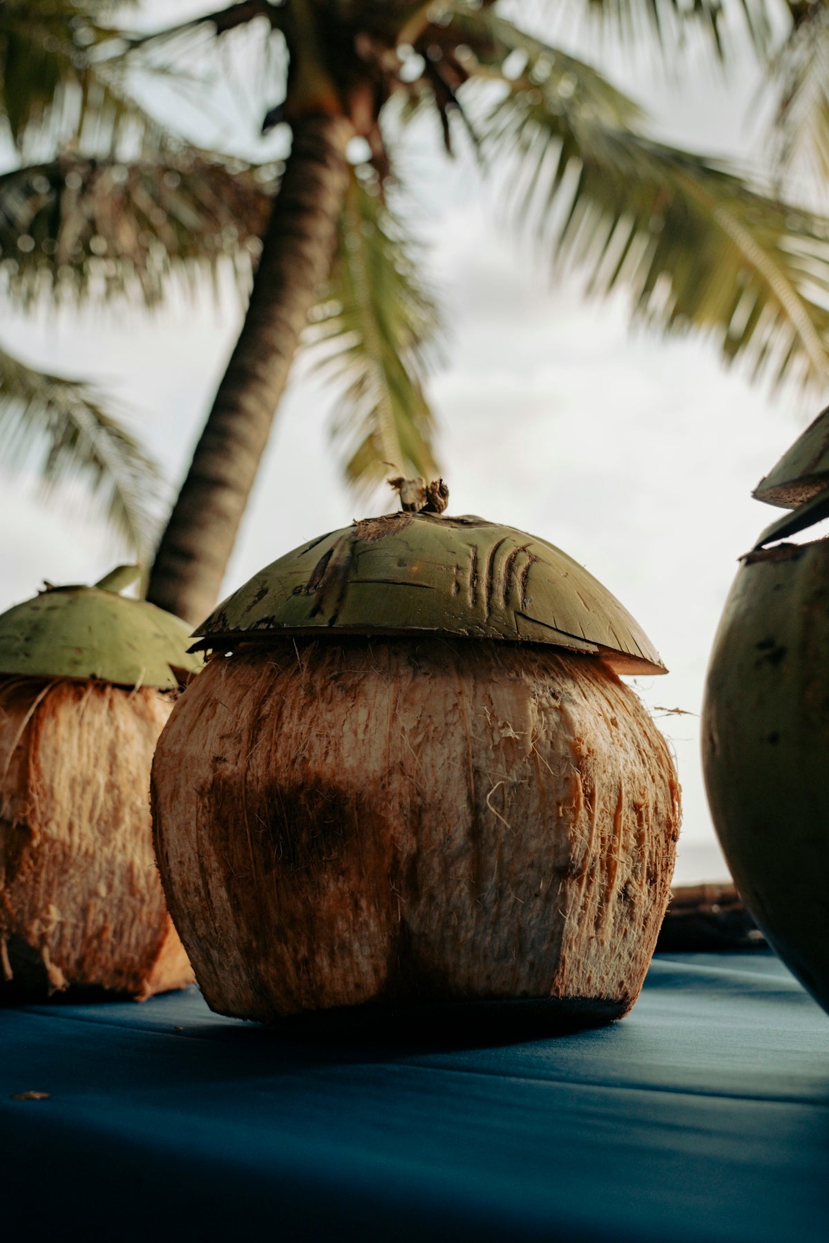 a couple of coconuts sitting on top of a table
