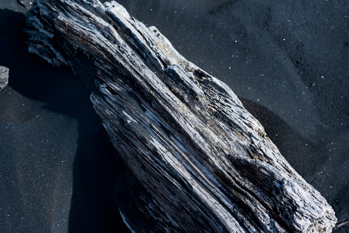 A weathered piece of driftwood on dark sand.